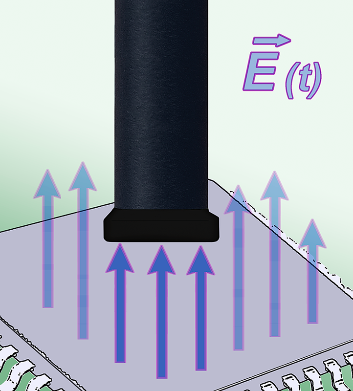 RF-E 03, E-Field Probe 30 MHz up to 3 GHz